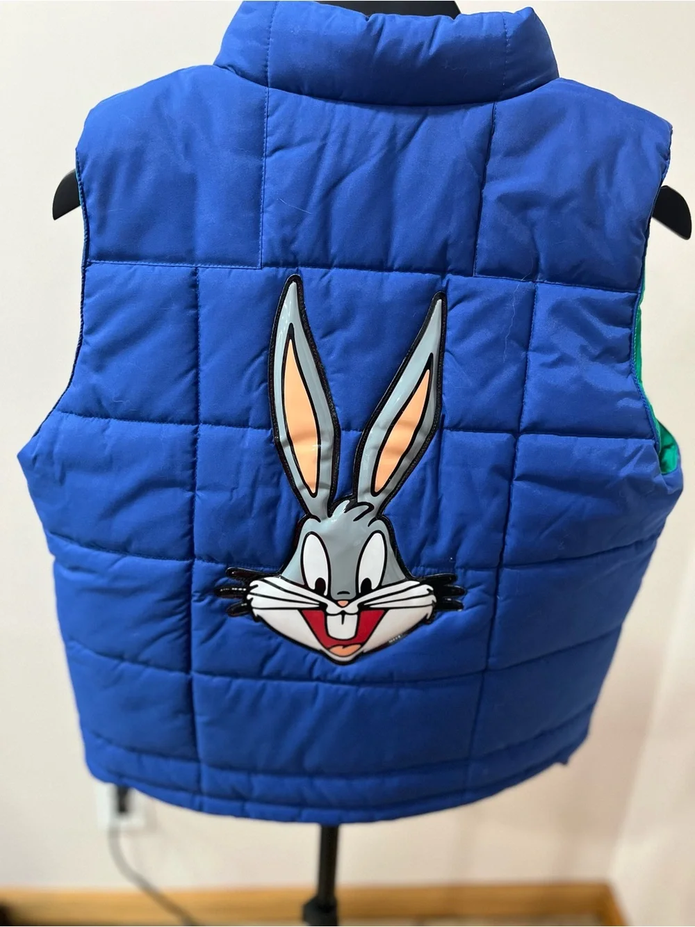 Warner Bros. Kids Jacket in Royal Blue and Green